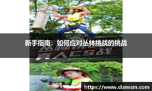 新手指南：如何应对丛林挑战的挑战