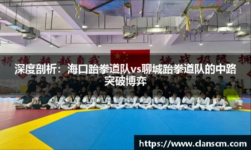 深度剖析：海口跆拳道队vs聊城跆拳道队的中路突破博弈